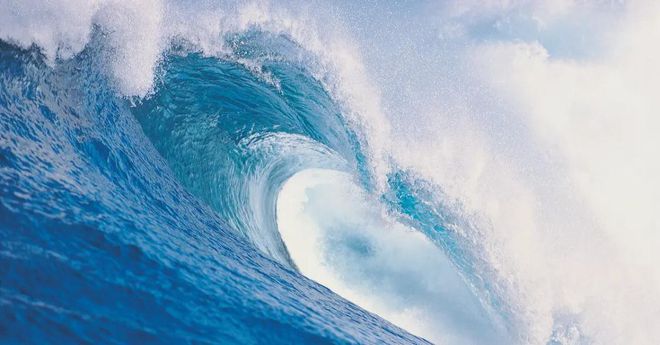 米兰全站app下载官网欢迎金弘敛五金制品来看厂——为环境保护助力的创新包装解决方案(图5)