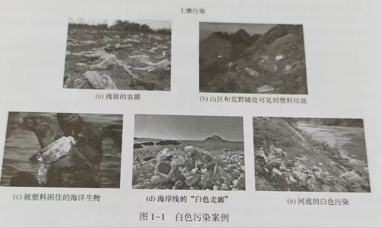 生物降解高分子材料(图1)